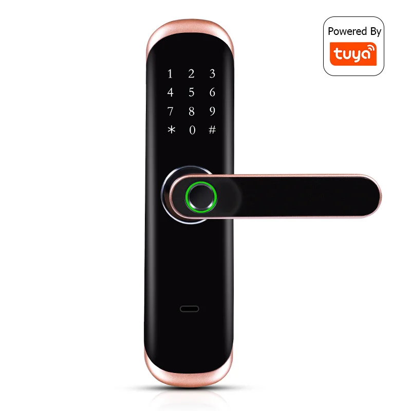 Home Security Tuya TT Lock Digital Electronic Smart Lock BLE WIFI Smart Door Lock