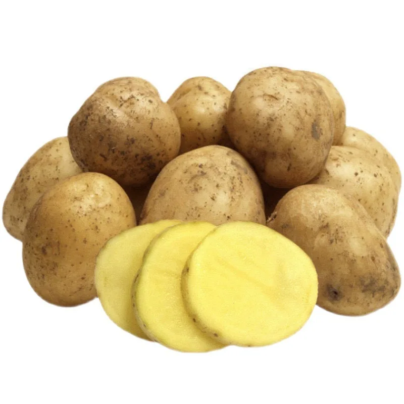 New Crop Holland Potato Seed/ Potato Wholesale Buyers/ Yellow Fresh Potato Prices