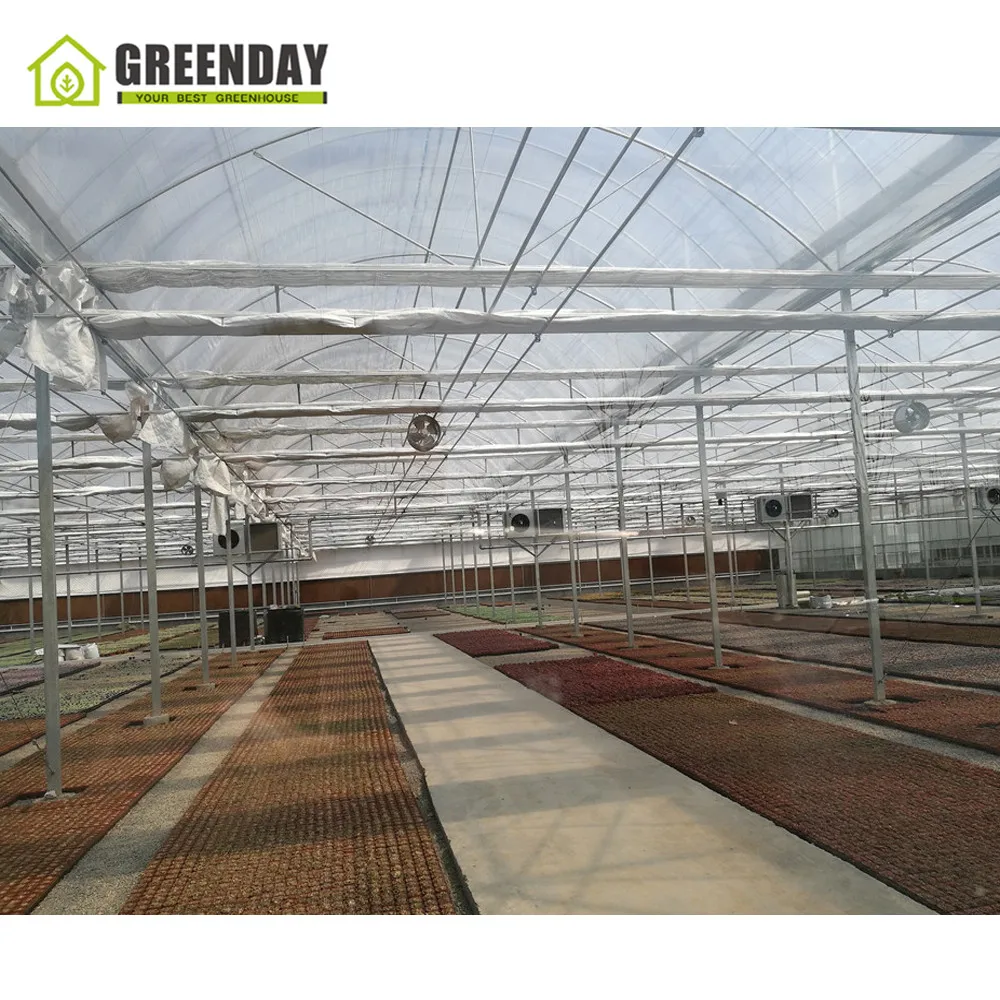 
GREENDAY UV protective polycarbonate garden greenhouse from China Guangzhou plastic 