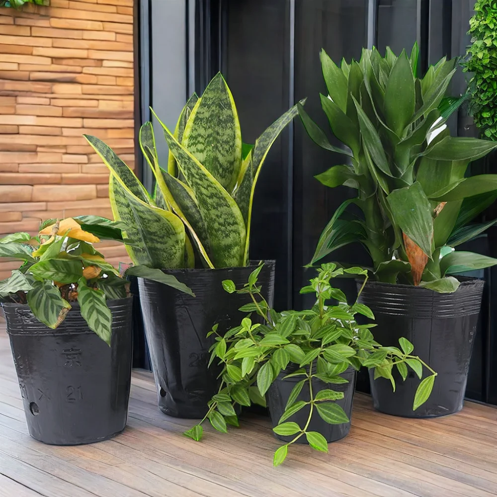 Large Black Thick Plastic Flowerpot Drip Tray Saucer Tree Seed Pot Chassis Trays for Garden Balcony Fleshiness Planter