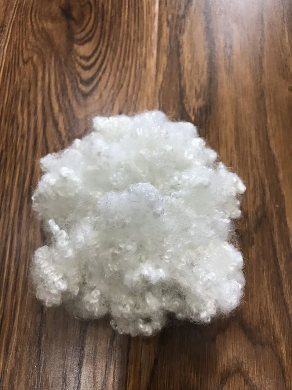 Hollow Conjugated Siliconized Polyester Staple Fiber HCS  white 7D64mm from largest fiber factory in Vietnam