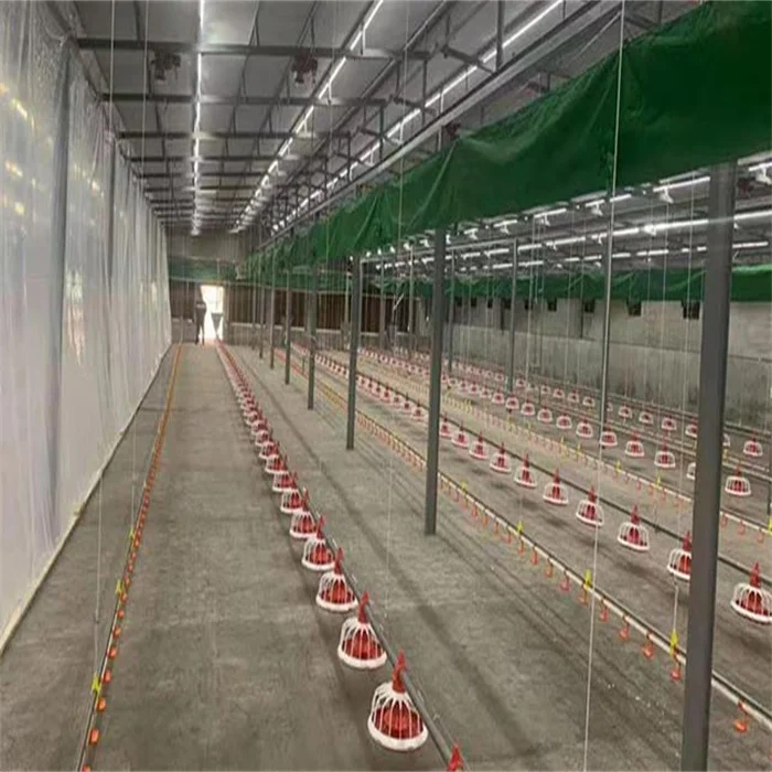 New Design Prefab Automatic Broiler Feeding and Drinking System Poultry House Shed Equipment on the Ground Floor
