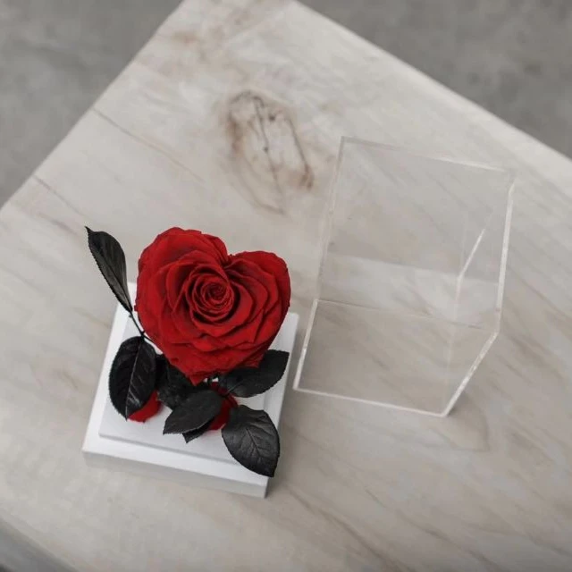 Factory price red roses gift summer flora wholesale forever red rose acrylic box flower send to a friend