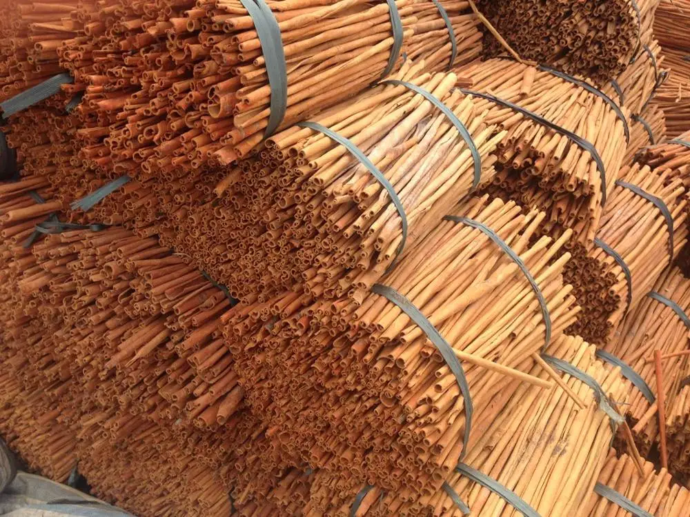 CINNAMON STICK 10CM CHEAP PRICE NEW CROP