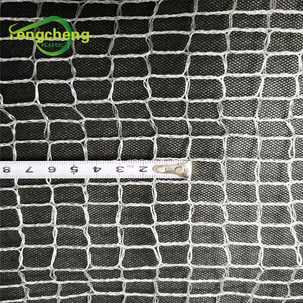 China Factory Fishing Pool Used Black HDPE Bird Net with Low Cost