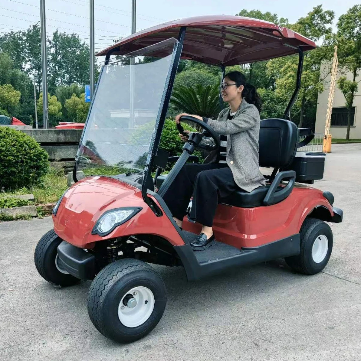 300cc 2 Seater gas powered golf cart with petrol engine gasoline classic two Passengers golf carts