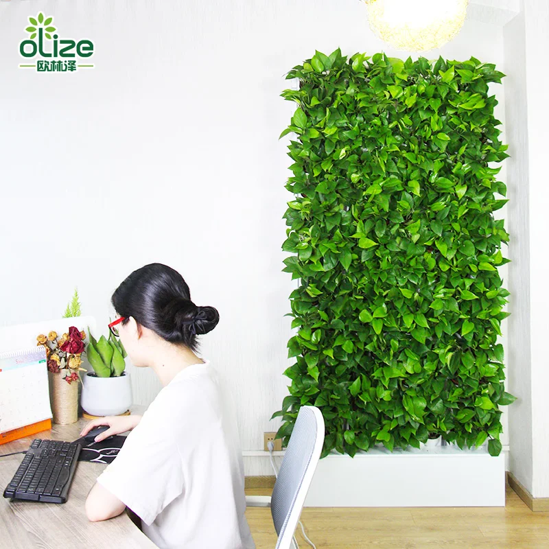 2020 Hot Sales Office decoration plant wall environment purification air plant wall