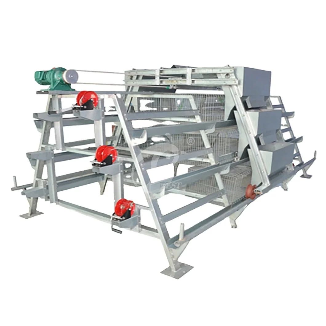 China Fox Proof Pullet Chicken Coop A Type Automatic Pullet Cage  Wholesale 920*730*420mm Size Automatic Pullet Cage