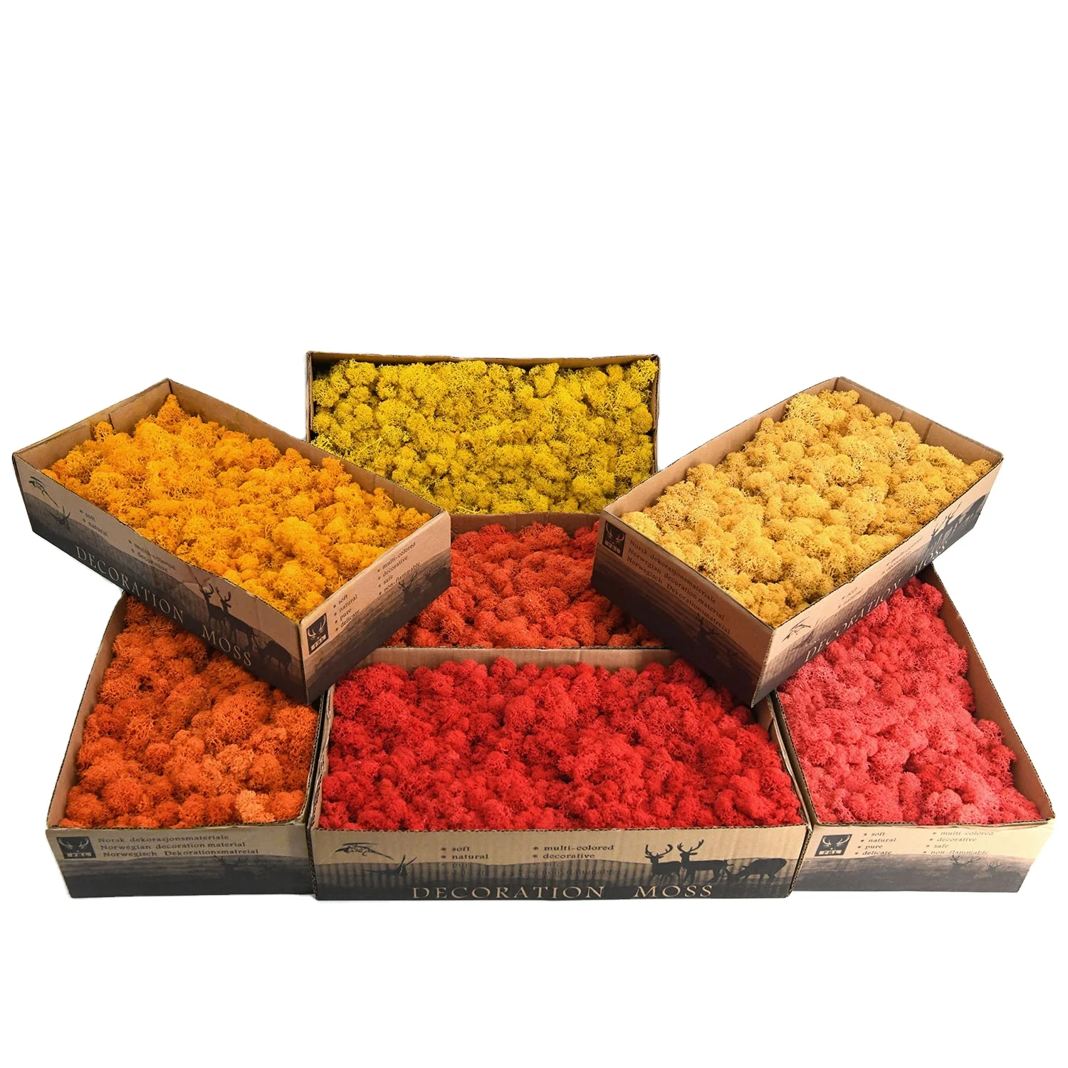 Wholesale Price Preserved Moss Natural 500G Per Box Natural Reindeer Moss For Decoration