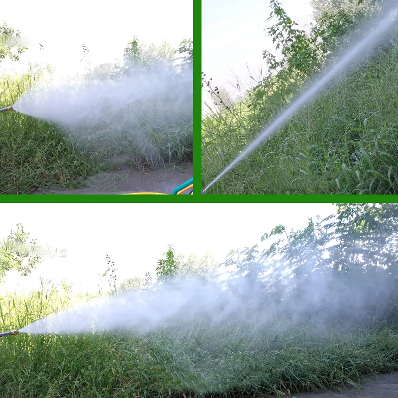 Electric Sprayer 48V 60V 500W BLDC Motor Agricultural Plunger Pump Sprayer