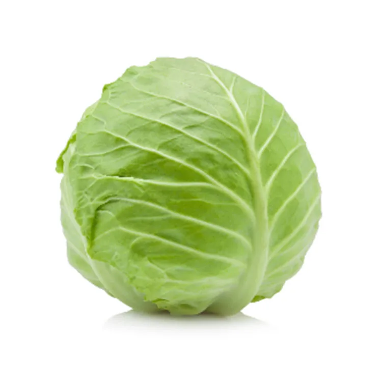 Cheap Price Fresh Round Cabbage Green Beijing Cabbage