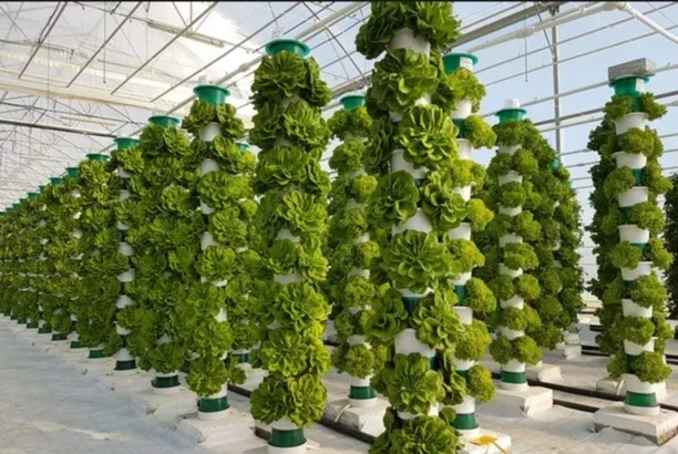 Vertical hydroponic growing systems tower garden indoor hidroponic system vertical farm hydroponics plant