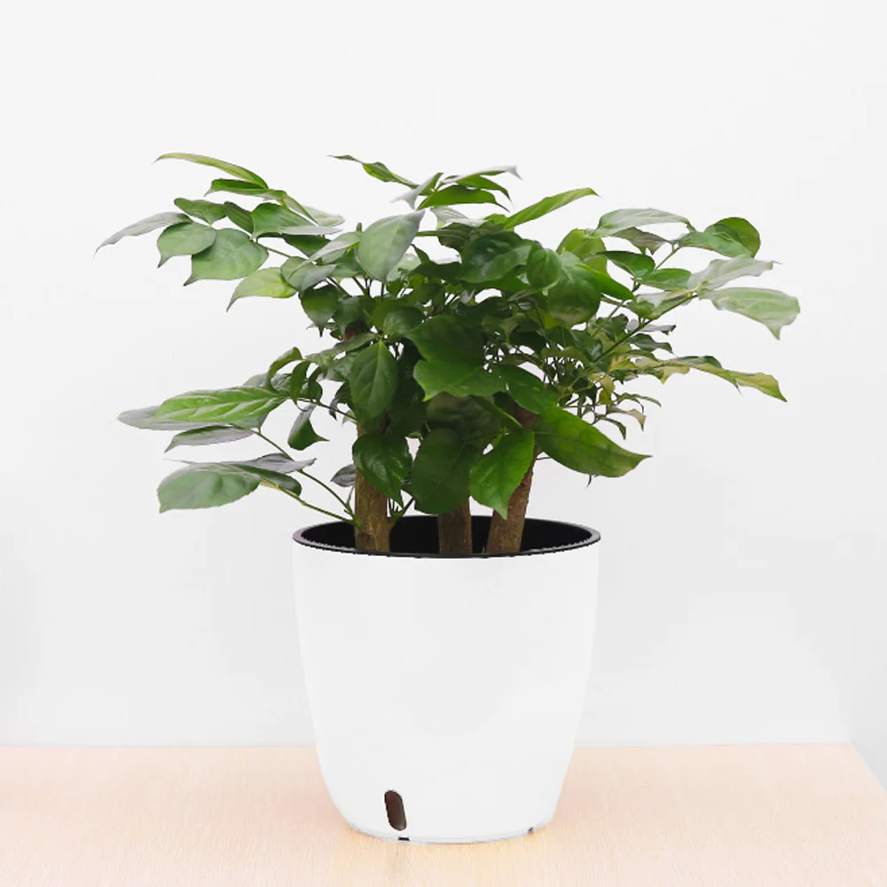buy plant pots factory wholesale taobao plant pots garden agriculture pots holes planting tool