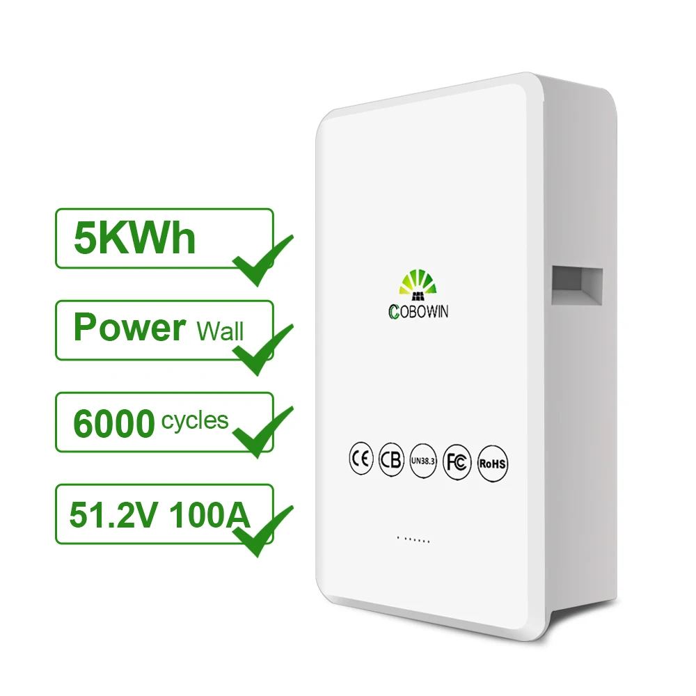 5KWh 10KWh 48v200ah 100ah Powerwall 24v system lithium ion battery wall mounted lithium battery with bms