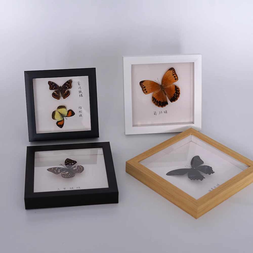 3D Box Picture Frame Dry Butterfly specimen handmade picture frame for Arts Dried Flower