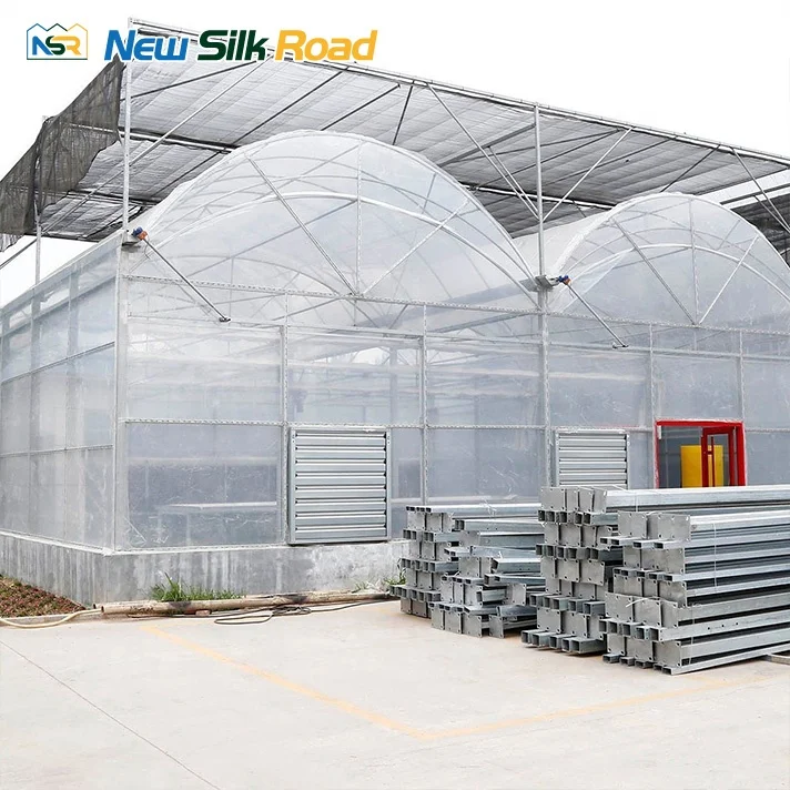 NSR Greenhouse Economical Plastic Agricultural Double Arch Double Layer Film Greenhouse For Sale