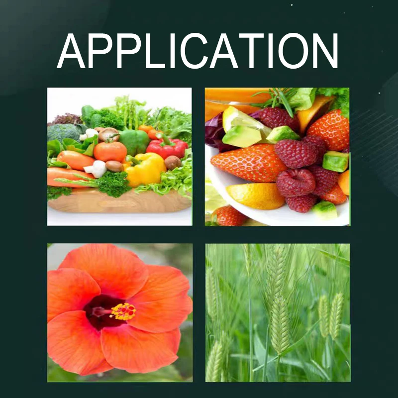 Biochemical Fulvic Acid 90% Powder Price Organic Fertilizer Fulvic Acid In Agrochemical