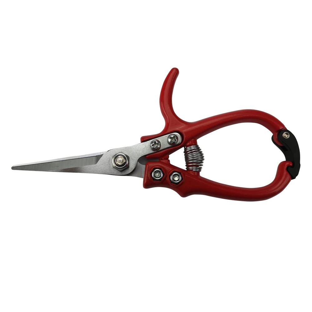 
New Arrival Simple Cheap Price Garden Fruits Pruning Shears Gardening 