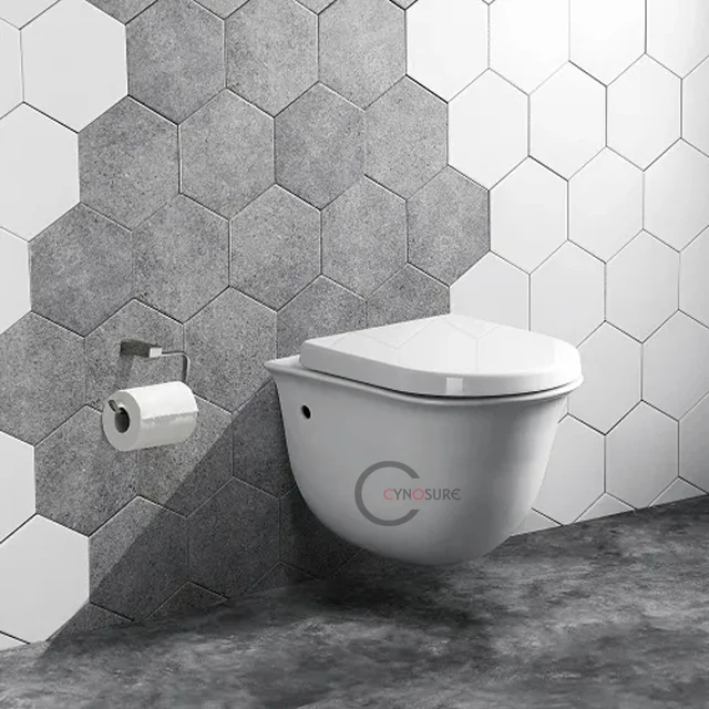 European Modern Wall Hung Wc Toilet Sanitary One Piece for Apartment Bathroom