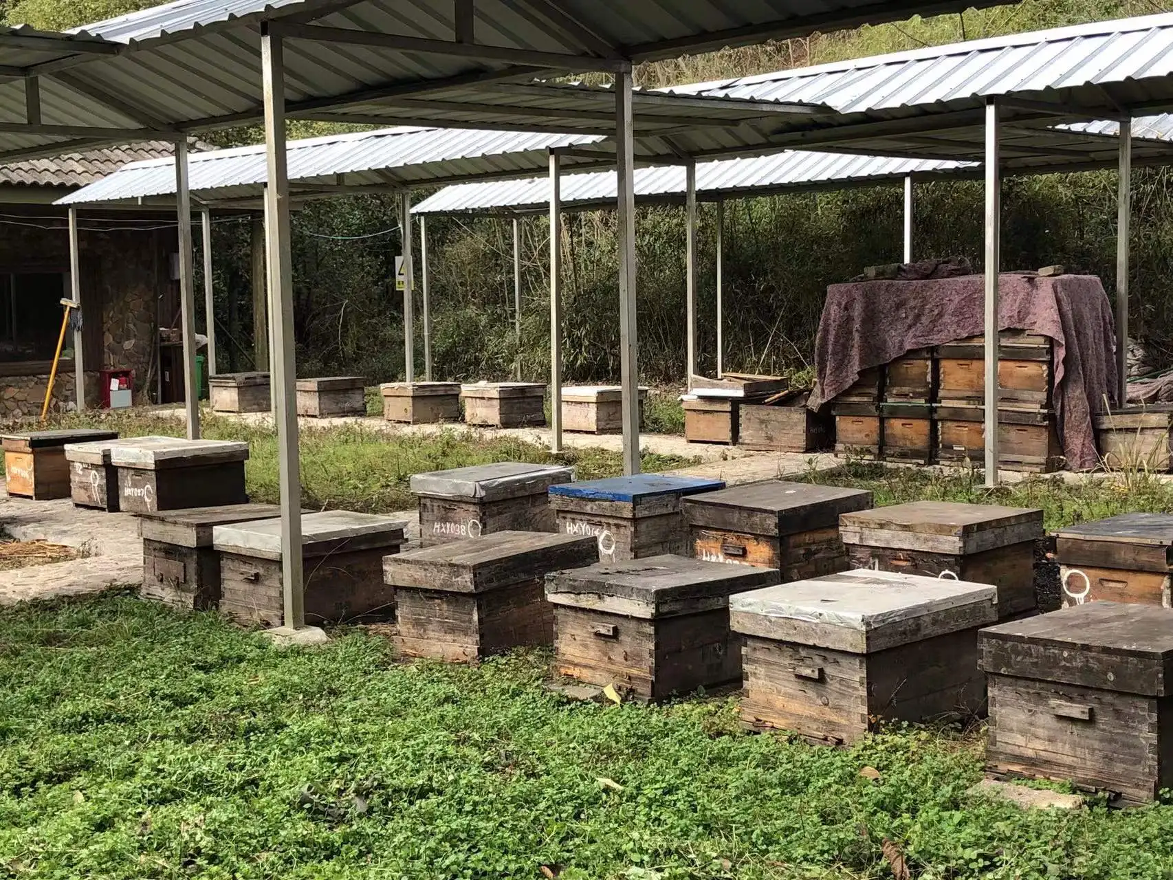 OEM Pure organic honey production company