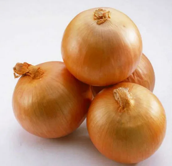Yellow onion seeds four season vegetable seeds SXO No.5