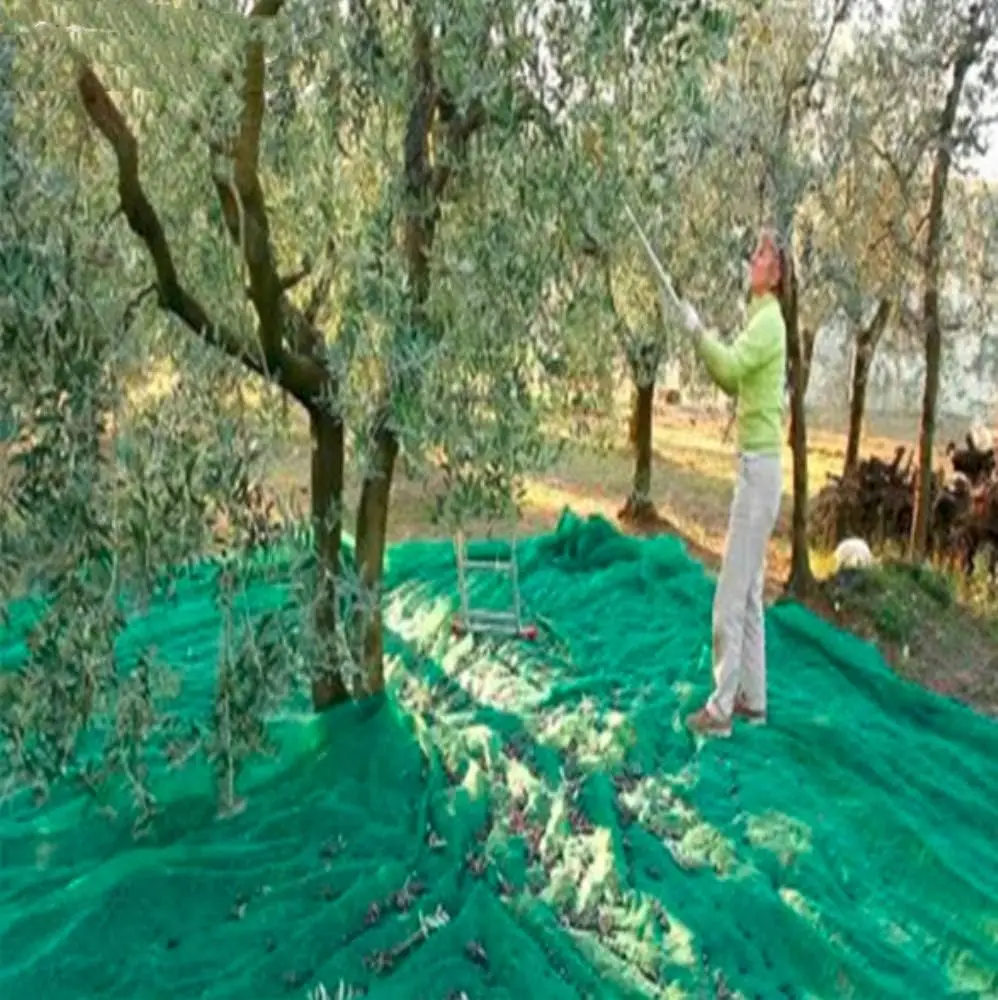 China supplier high quality HDPE olive collecting net olive nets