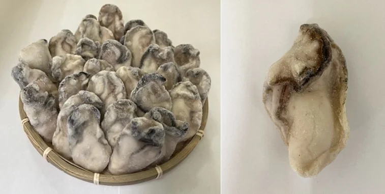 Other Transport Manufacturer Dish Buyer Bulk Type Shellfish Supplier Japanese Seafood Export Wholesale Oyster Sea Food Frozen