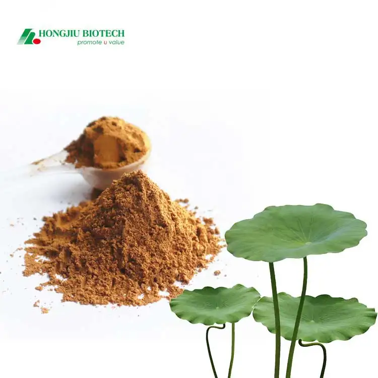 
Factory Supplier High Quality Pharmaceutical Grade Valerian Root Extract 100% Natural Wholesale 0.8% Valeric Acid Powder 