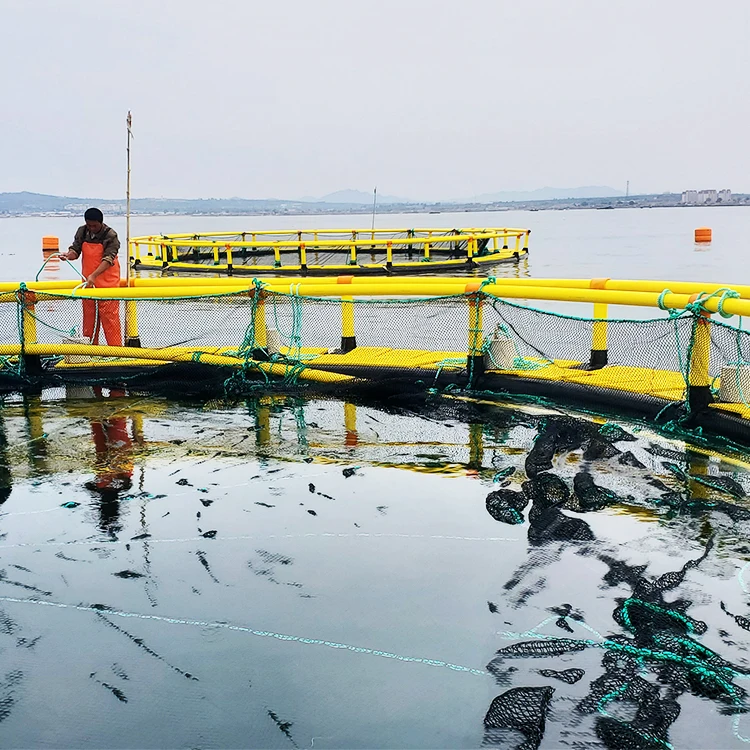  Плавающие рыбы для отлова морских обитателей клетка морской