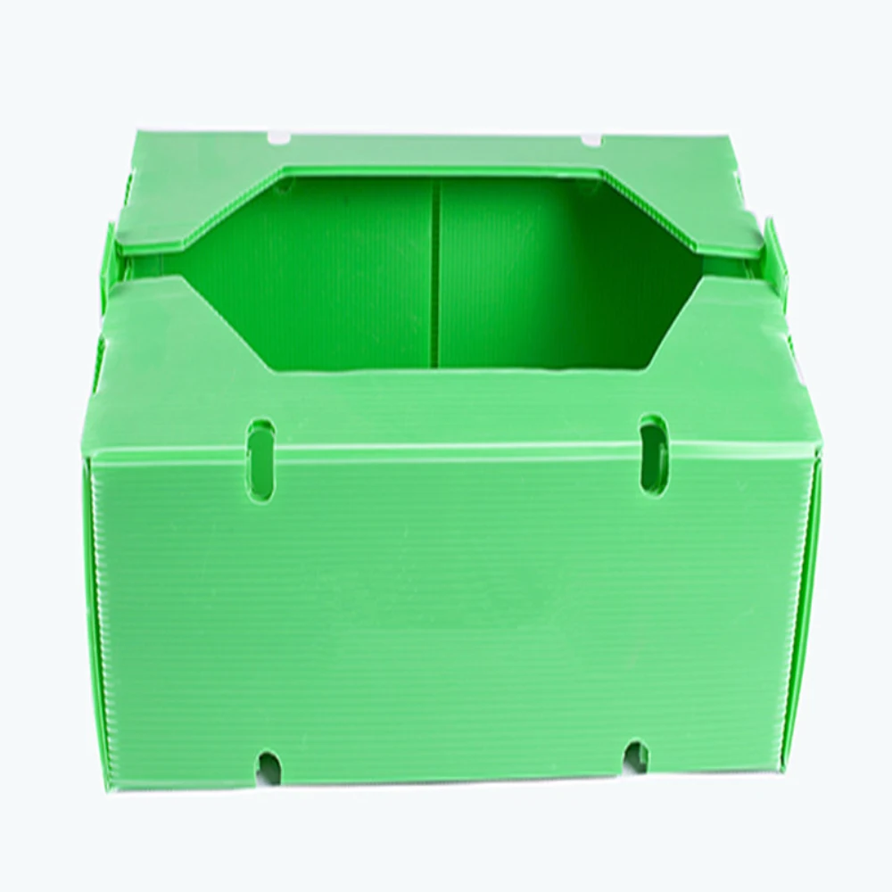 2mm 3mm 4mm 5mm 6mm PP Antistatic Waterproof Polypropylene Corrugated Plastic Sheet Packing Box