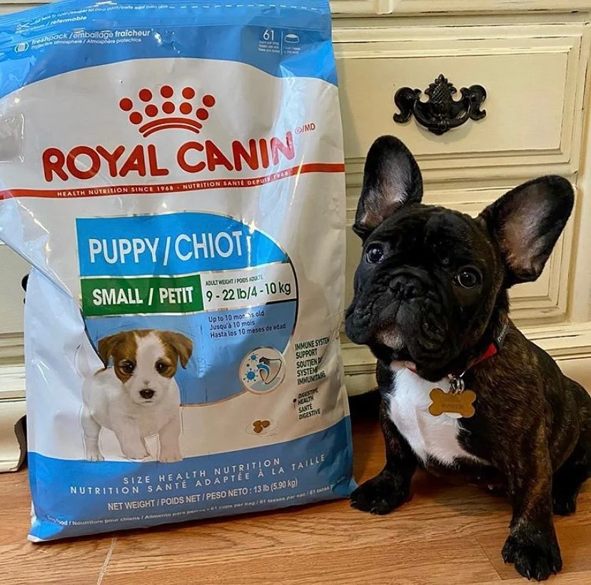 Royal Canin Club Pro сухой корм для собак специальная производительность
