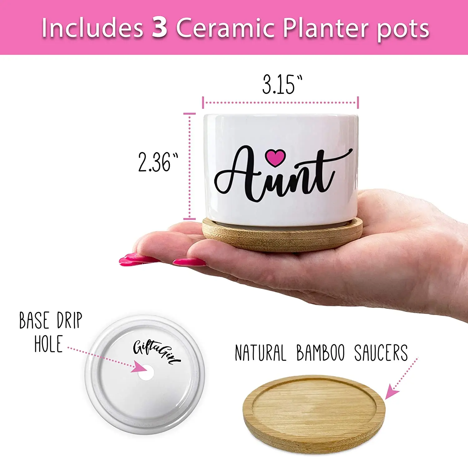 Custom Super Sweet Aunt Gift Our Pretty Best Aunt Ever Succulent Pots For Birthday or Christmas