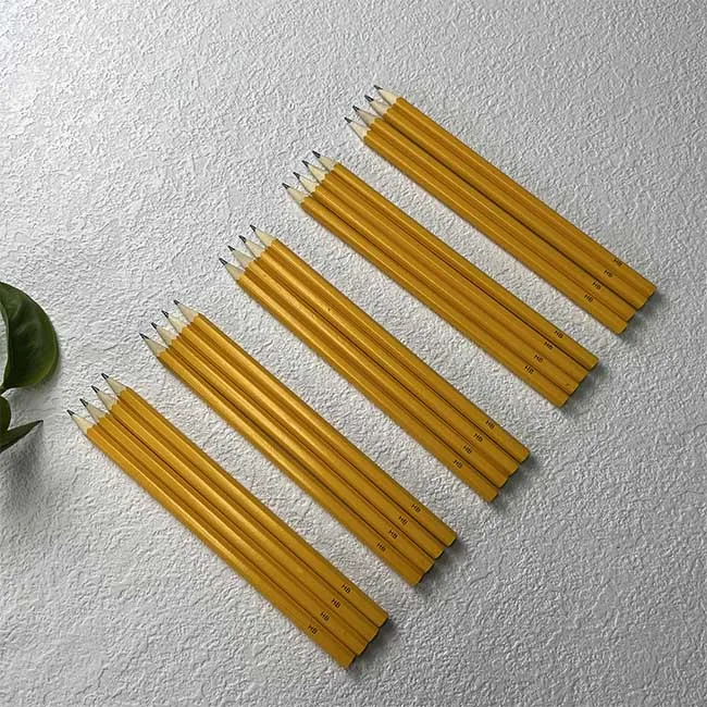 Customized Sprout Colour Pencils Forget me not Made from Certified Wood Plantable Pencil