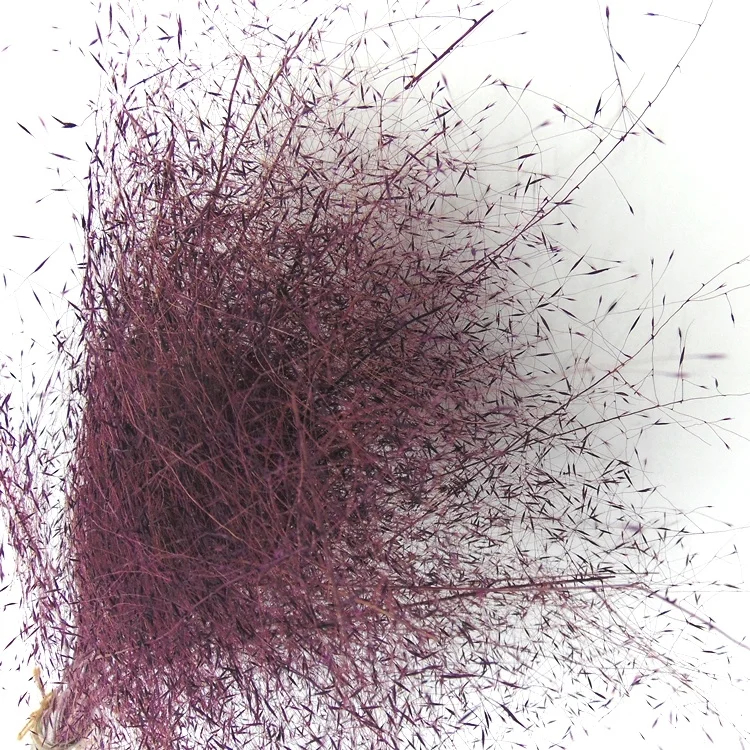 New product handmade preserved limonium carved wooden decor pressed flower wall art rattan glass