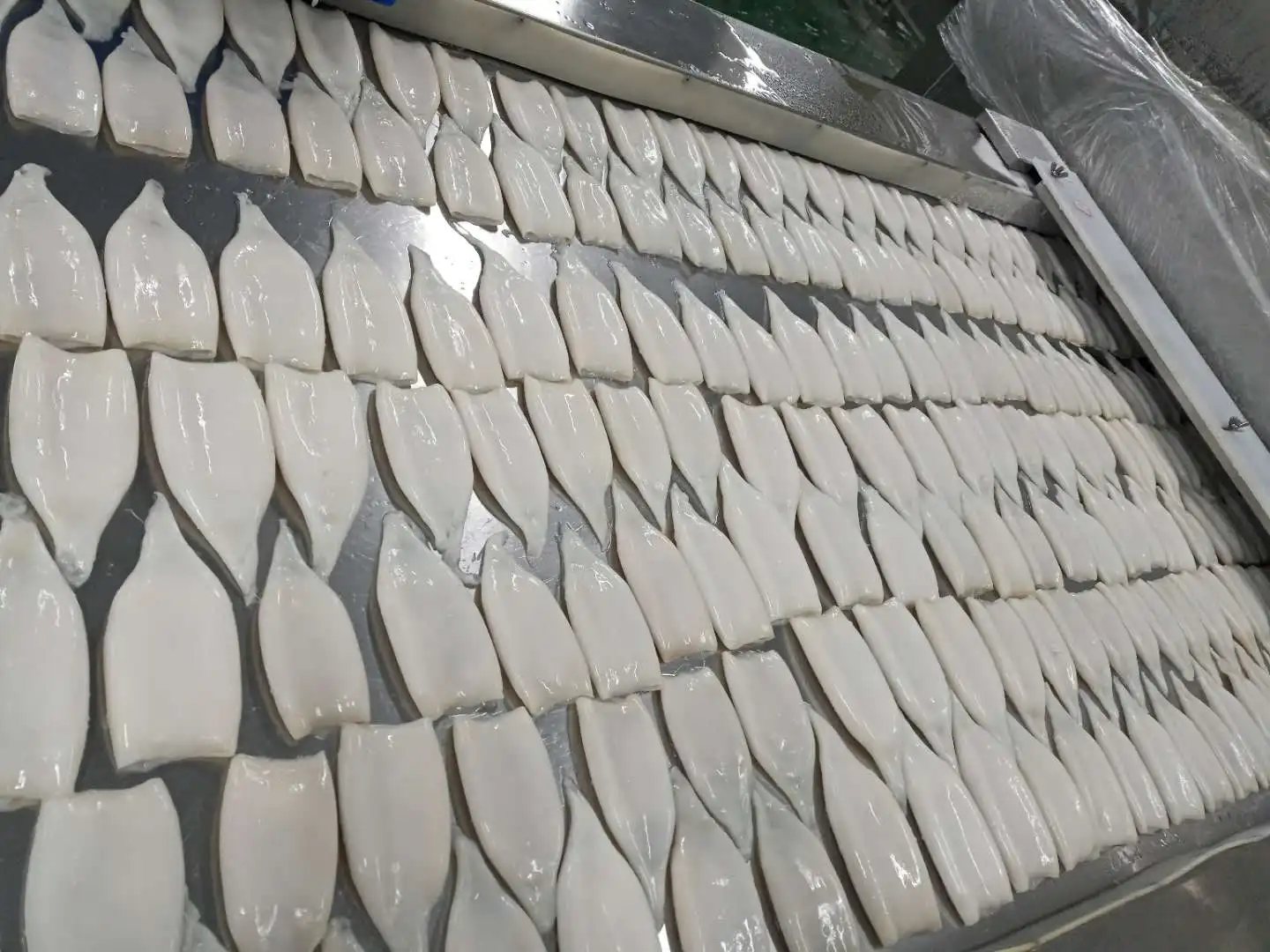 2021 Hot Sale Sea Frozen Squid Tube Giant Squid All Size