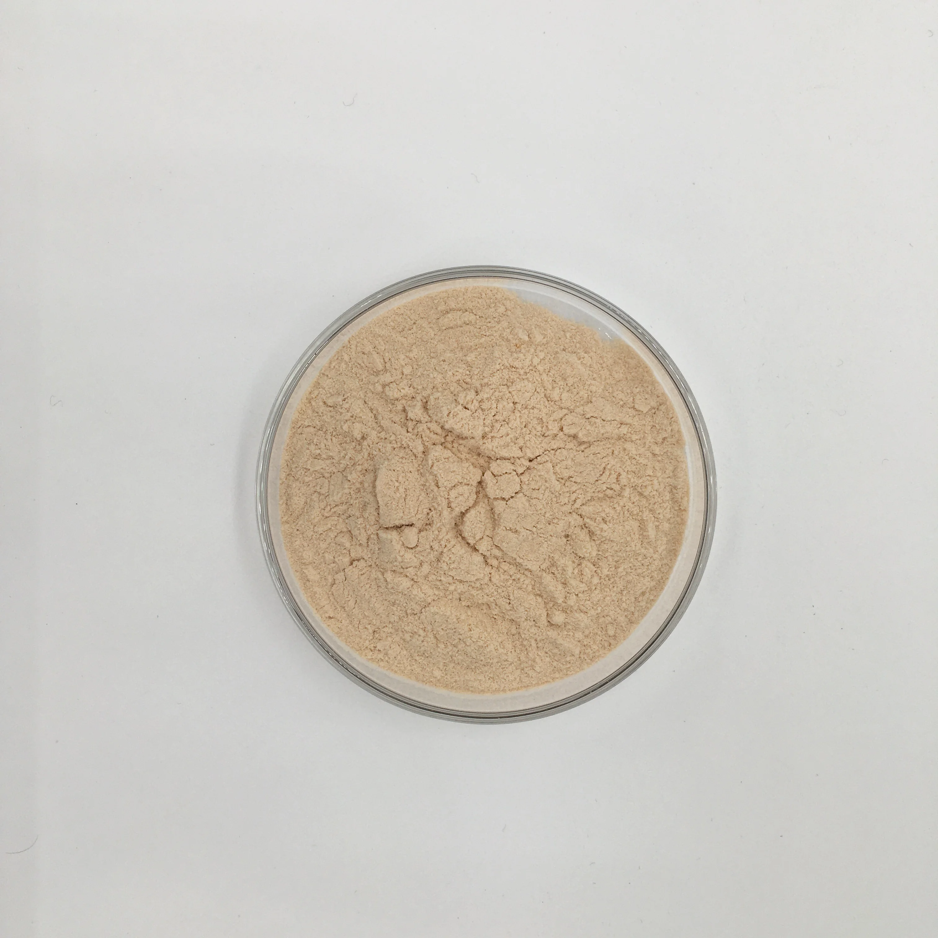 High quality  Superoxide Dismutase Powder 10,000 U / g SOD Superoxide Dismutase