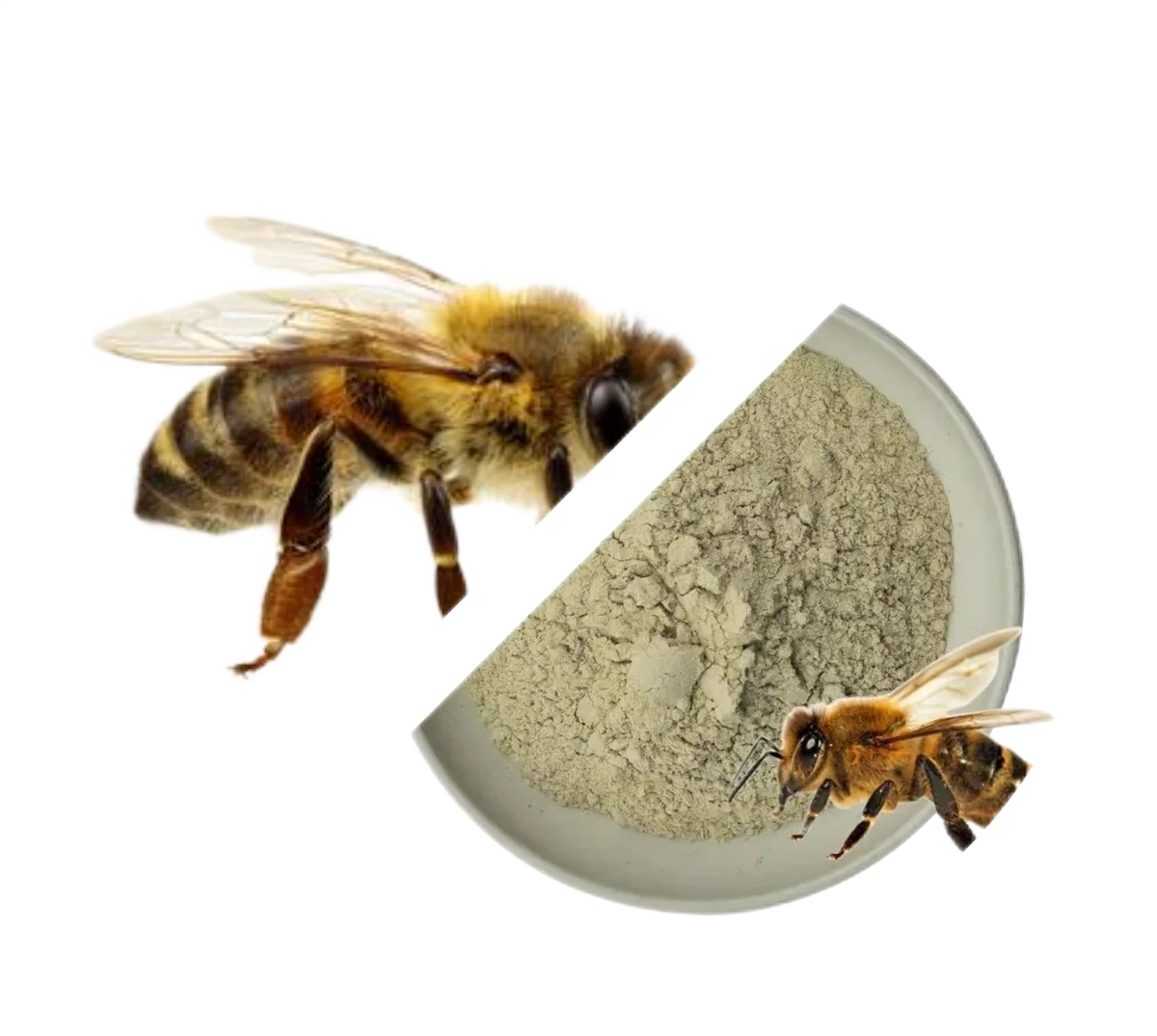 Natural Pure Bee Venom Extract Melittin 99% Powder Price Bee Venom Powder Apitoxin For Sale