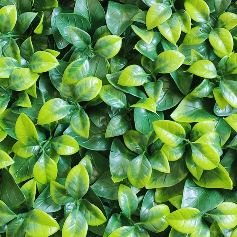 50*50 cm Anti-UV Artificial Hedge Boxwood Panels Green Plant artificial grass wall panels For Indoor Outdoor Decoration