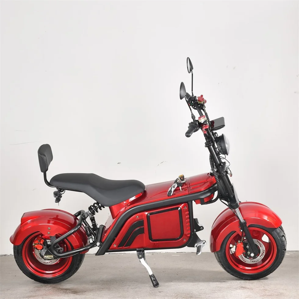 2023 NEW 4000W Electric Scooter Russia Roof Leon Citycoco  EEC COC Citycoco