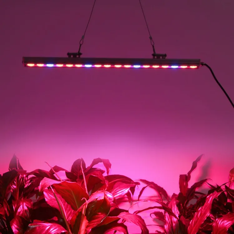 New Design Waterproof 55cm 85cm 115cm Led Grow Plant Light bar for hydroponics greenhouse plants