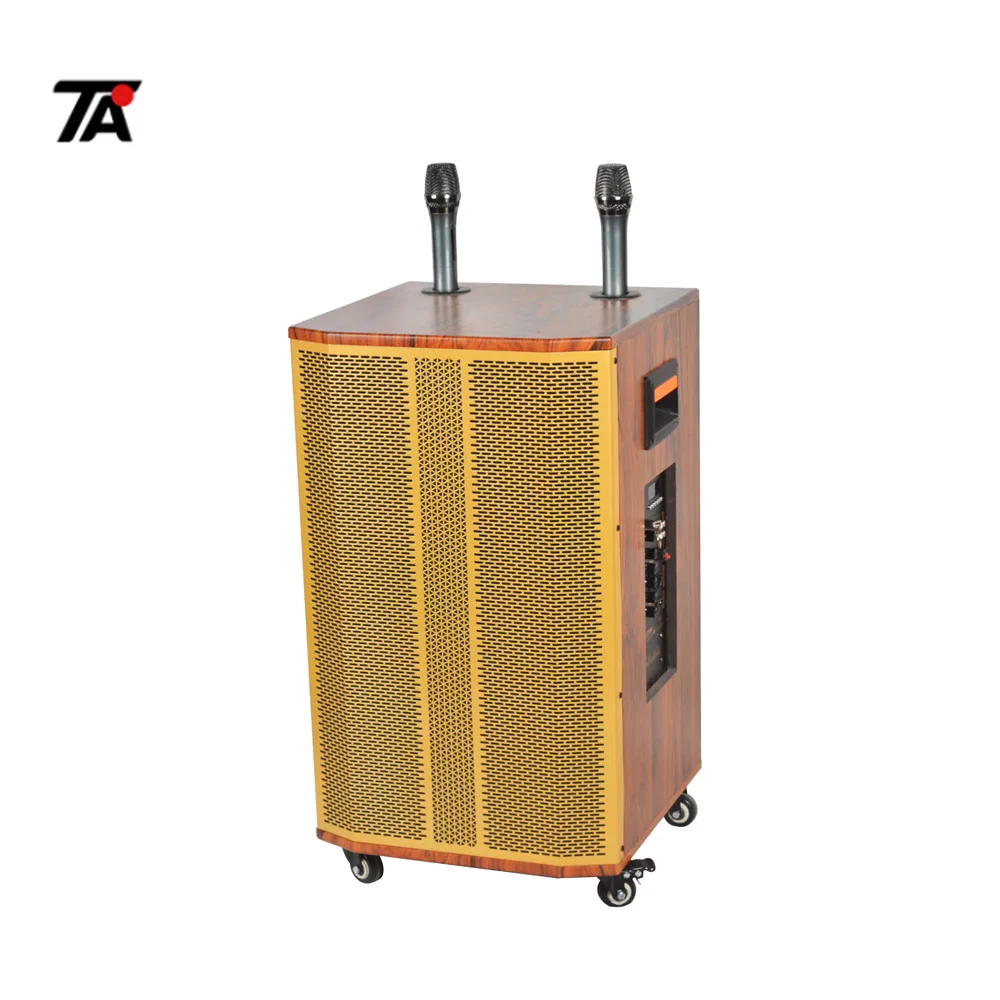 Karaoke Speaker with MIC and Blue tooth