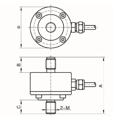 paste-pic-dp_uuid_f9t6j