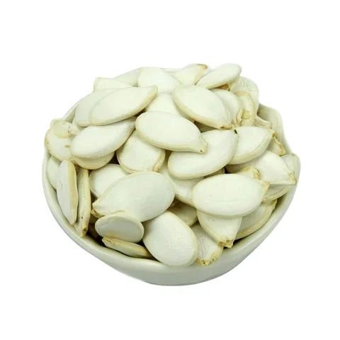 Different types of sunflower seeds / Sun flower Seeds Kernel