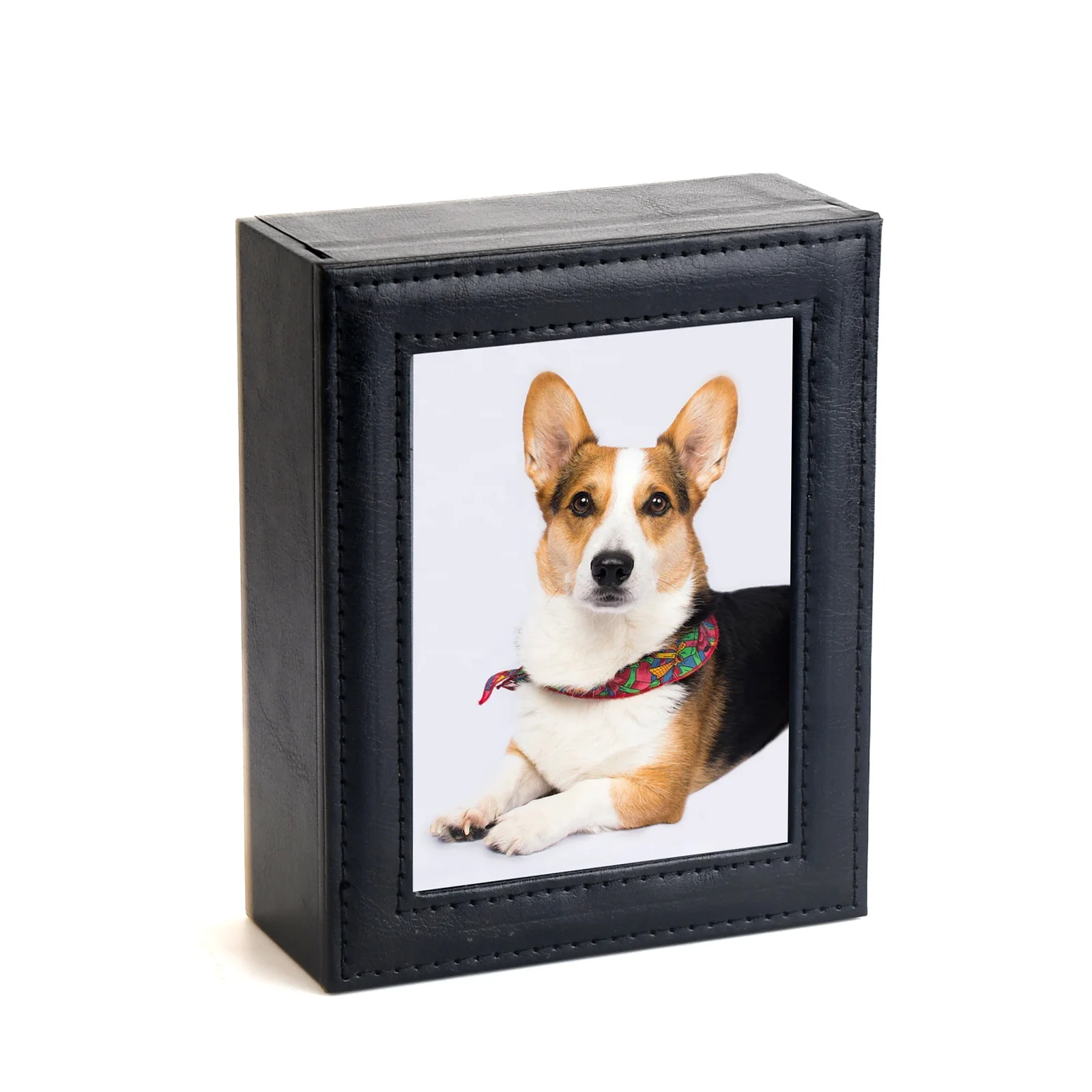 New Pet Memorial Paw Prints Dogs Cats Printings Clay