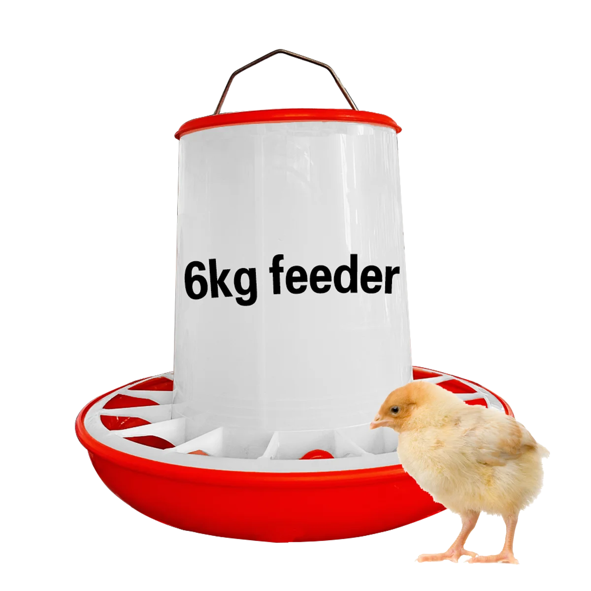 High Quality Strong And Durable Chicken Duck Goose Bird Quail Pigeon Feeding Chicken Automatic Poultry Feeder Bucket With Net