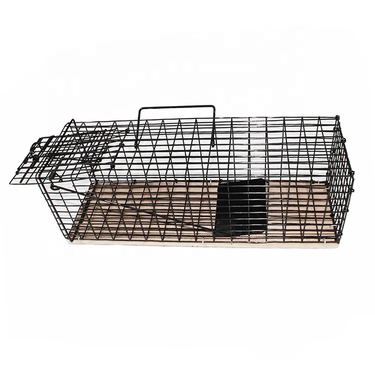 Wholesale Eco-Friendly Square Animal Design Bird Pest Trap Cage for Farm Use-Humane Mouse Wild Boar Python Rats Rabbit Traps