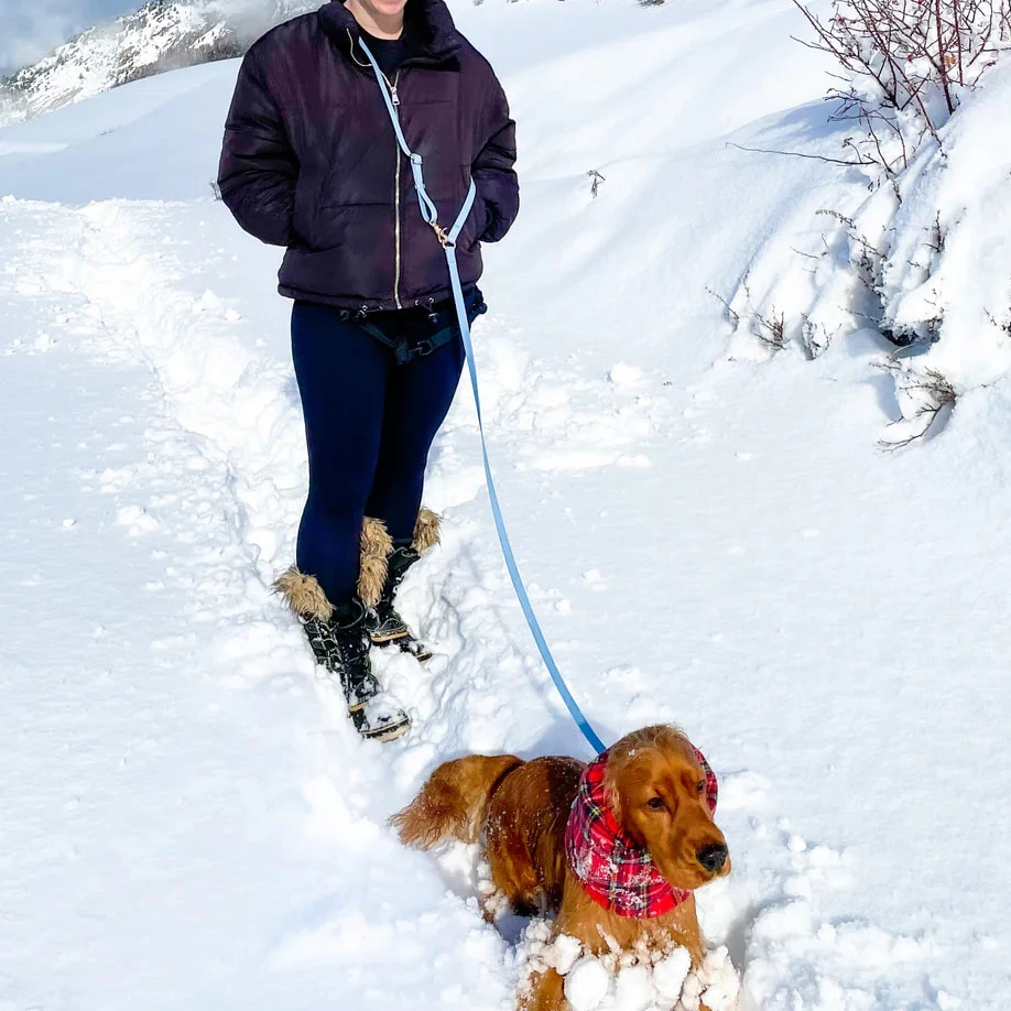 Luxury Custom Training Leash Pvc Dog Leash Set To Tie To The Waist Buckle Metal Hands Free Dog Leash