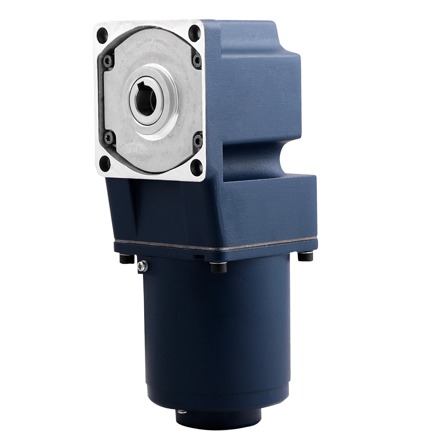 ZD Leader AC Speed Control 25W 40W Right Angle Shaft Geared Motor For Pizza Oven