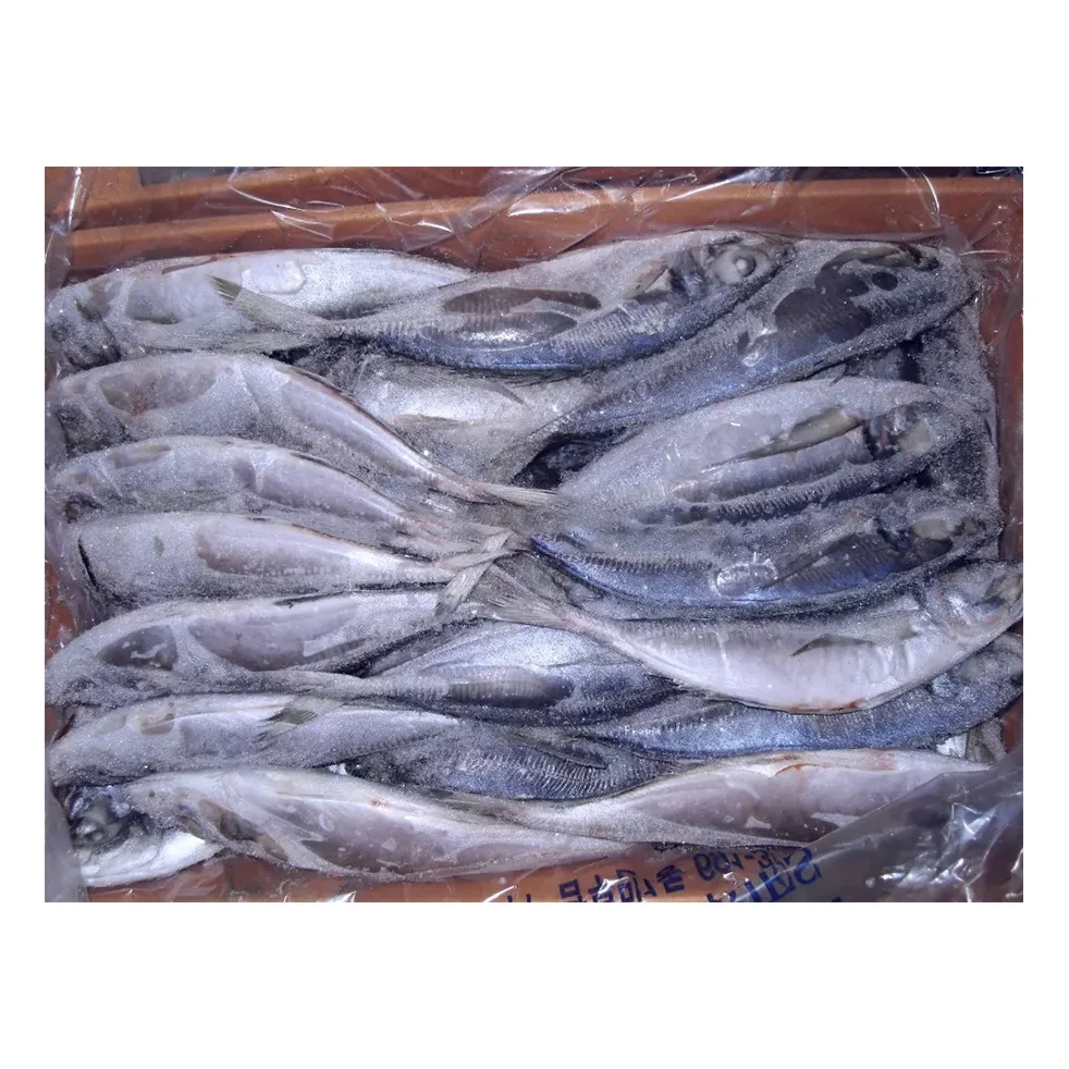 Horse Mackerel Fish