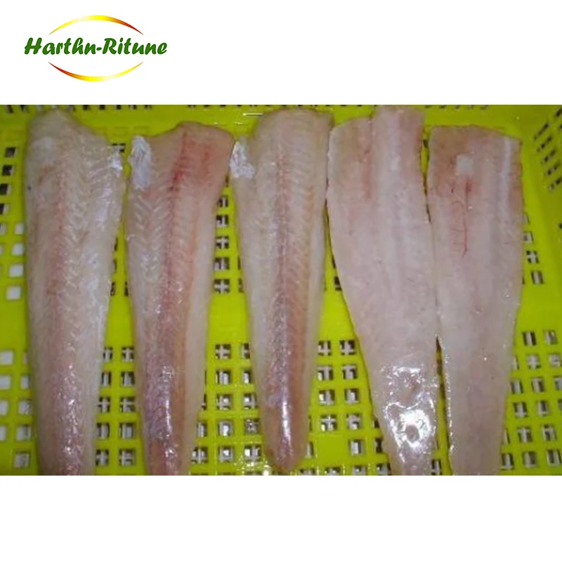 Supply frozen pacific hake interleaved block pollock pacific hake fillets